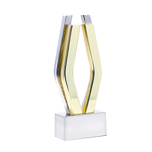 gold-viddy-award.png